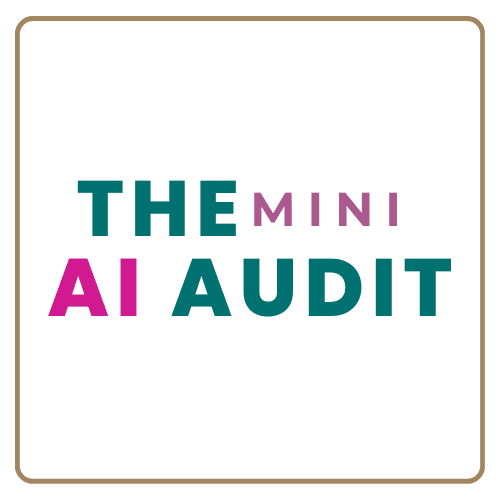 Mini AI Audit